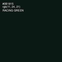 #0B1815 - Racing Green Color Image